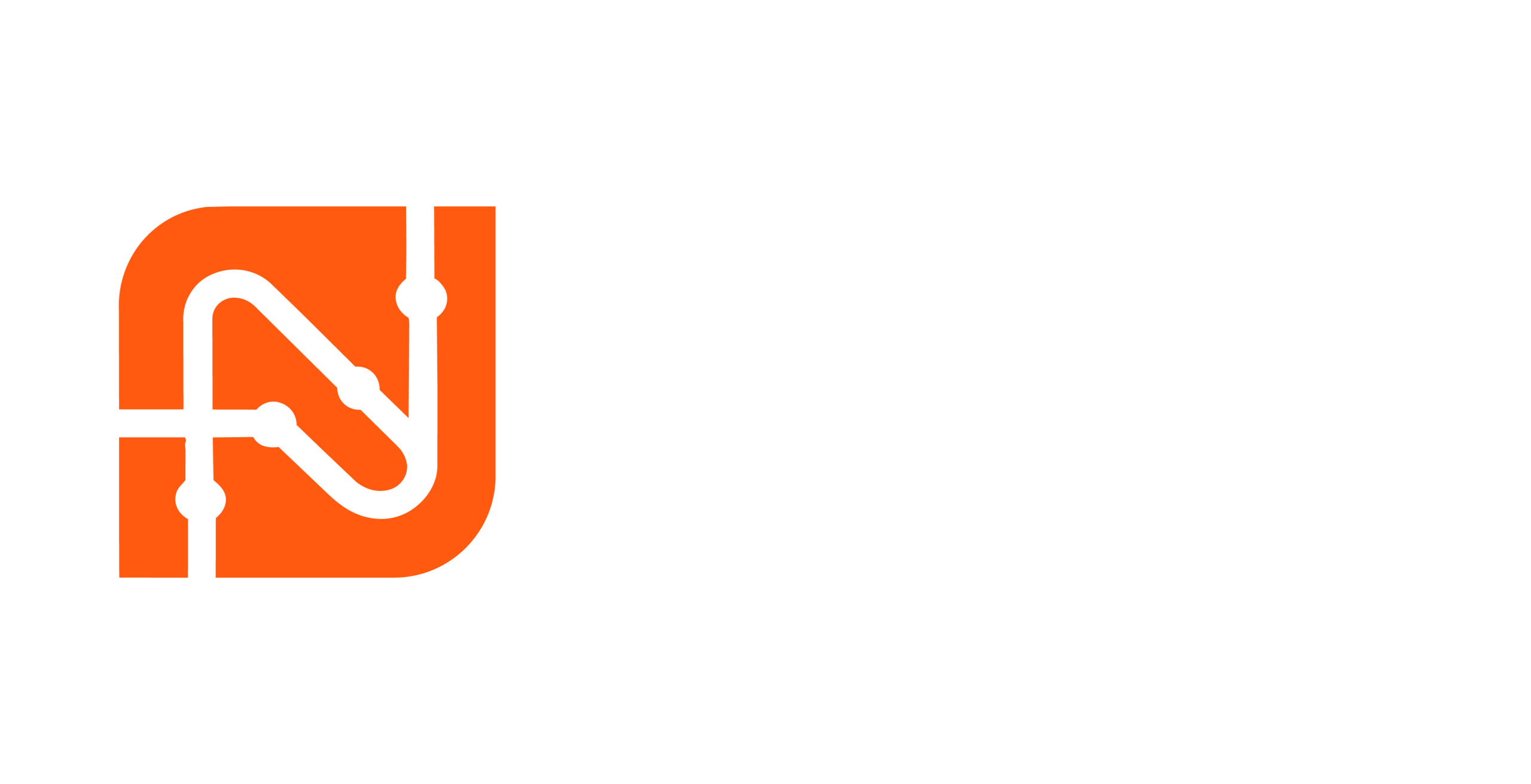 netsect logo 2984-02